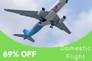 Domestic Flights Coupons